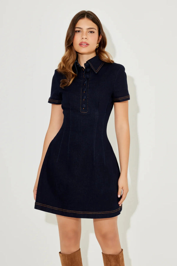 The Ultimate Muse Denim Collared Mini Dress Blue
