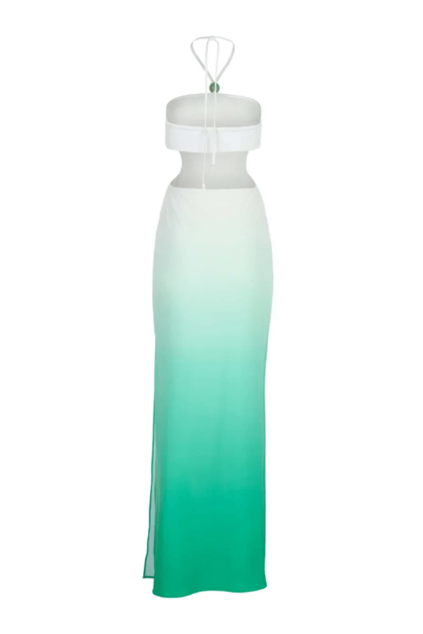 Nao Maxi Dress Ripe by Baobab – A trendy, elegant maxi with halter neck, sleek cutouts, ruched detailing, and side slit, perfect for special occasions.