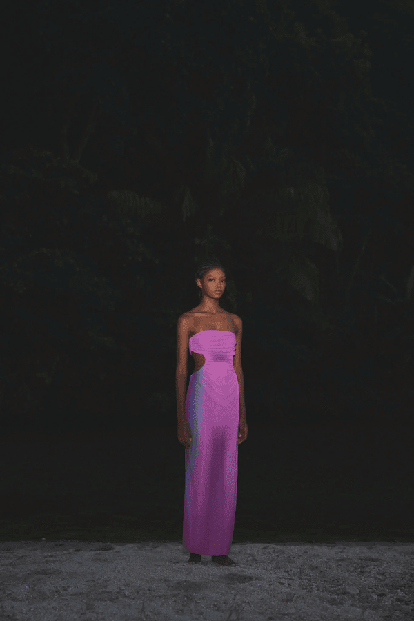 Lila Dress Enchanted by Baobab – Strapless mesh maxi with cutouts, ruching, and a twistable design for multiway styling.