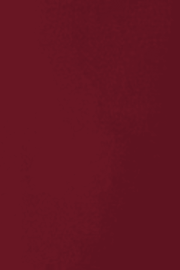 Nanda Dress Burgundy by Onte – Trendy sleeveless shift in heavy Milano knit with gold knot buttons, flattering A-line silhouette, perfect for chic day or night looks.