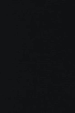 Helena Dress Black by Onte – A trendy, breathable 100% cotton crochet-style gilet with gold buttons and patch pockets, perfect for chic layering and casual elegance.