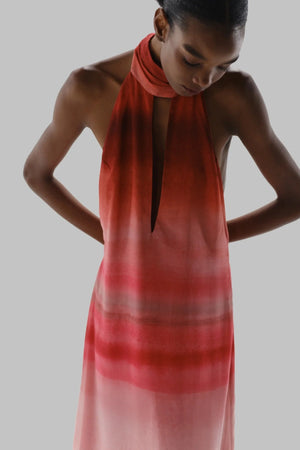 Magia Salvaje Maxi Dress Flor de Cantuta by Baobab, halter chiffon dress with cutouts, perfect for resort or event styling