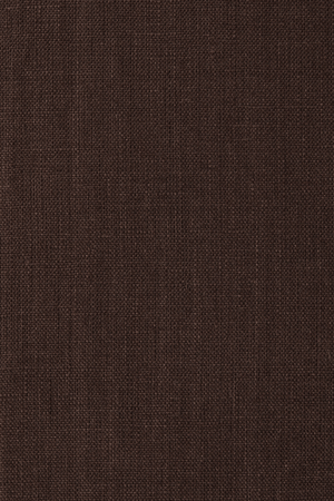 Corbiere Vest Bistre by Faithfull the Brand, sophisticated 100% European Flax® linen vest with wide straps, straight neckline, and mock buttons, perfect for trendy viral layering and elegant summer looks.