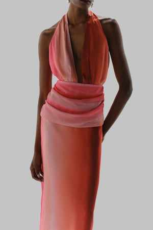 Lima Maxi Dress Flor De Cantuta