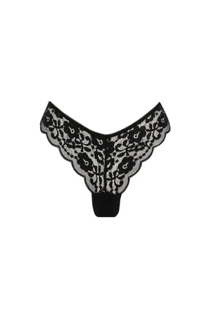Annie Brief Black by Kat The Label, sheer lace brief with scalloped trim, perfect for elevated everyday lingerie styling