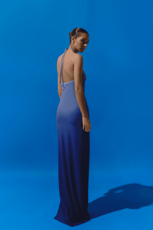 Bari Dress Lapis Lazuli by Baobab – Trendy halter maxi with ruched detailing, embellished accents, and side slit, designed for elegant flow and standout occasions.