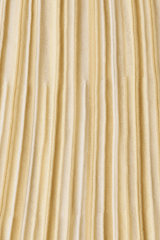 Citara Drawstring Skirt Butter Stripe by Faithfull the Brand, striped midi skirt with elastic waist. Perfect for summer outfits or relaxed chic looks.