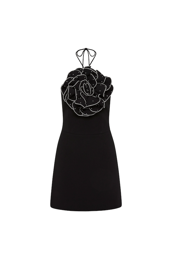 Eliana Mini Dress Black by Rebecca Vallance – A halter mini with floral appliqué, silver accents, and scoop back, perfect for romantic dinners or chic celebrations.