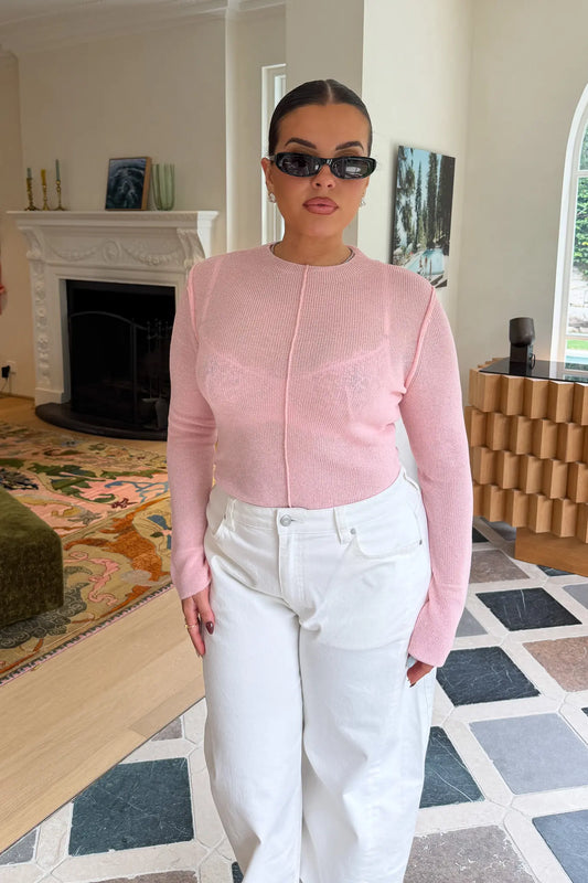 Jaz Fine Knit Sheer Long Sleeve Top in Pink with a soft sheer finish, high neckline, and exposed center stitch creating a smooth, body skimming silhouette with a refined feel.