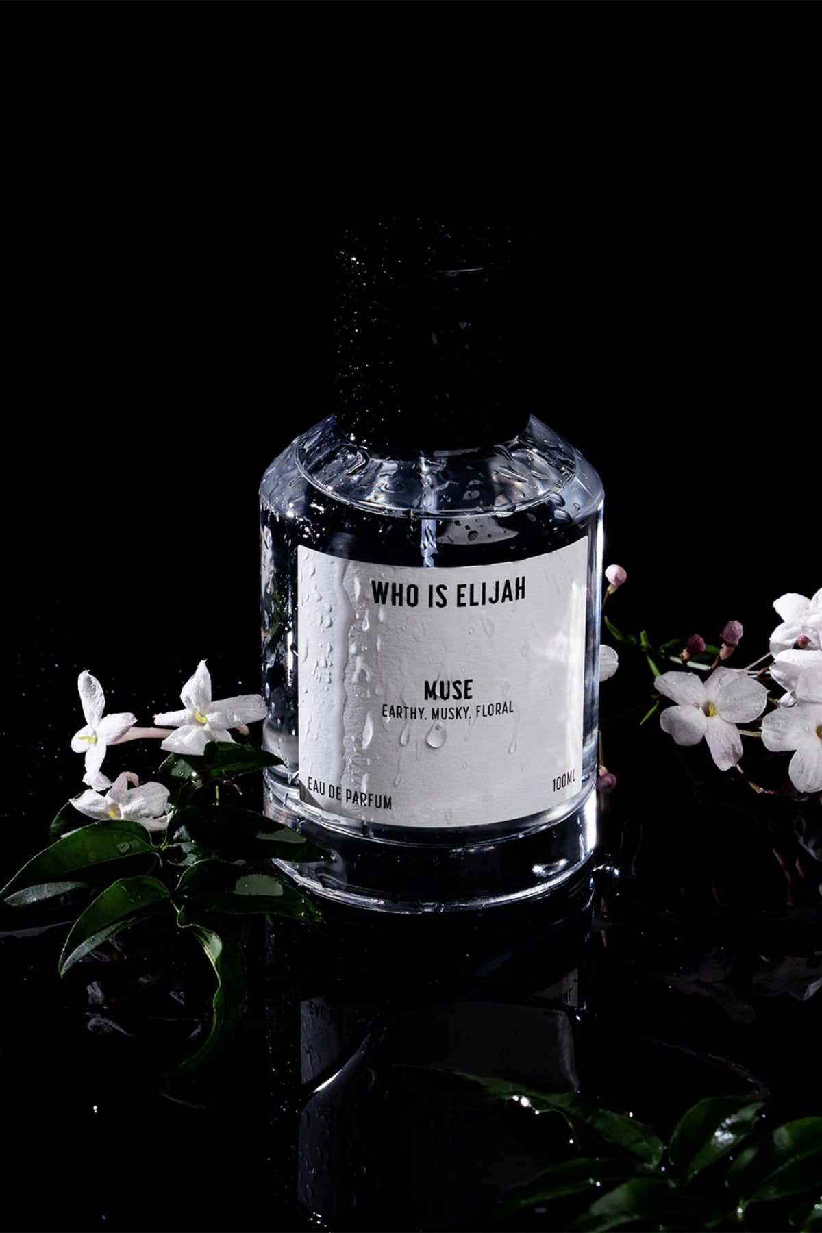 Muse by Who Is Elijah, a subtle yet unforgettable scent with solar, warm floral, jasmine absolute, ambergris, musk notes.