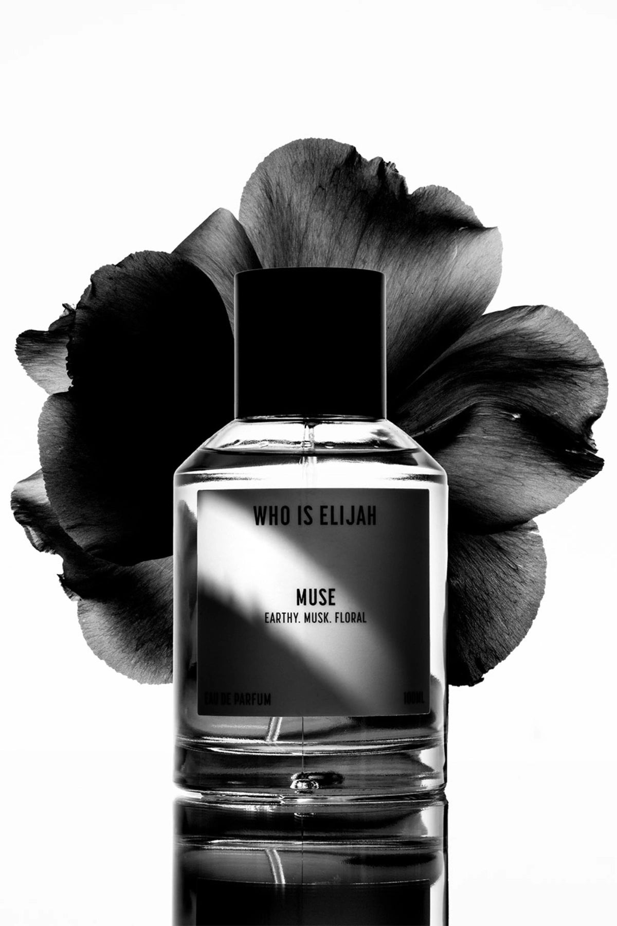 Muse by Who Is Elijah, a subtle yet unforgettable scent with solar, warm floral, jasmine absolute, ambergris, musk notes.