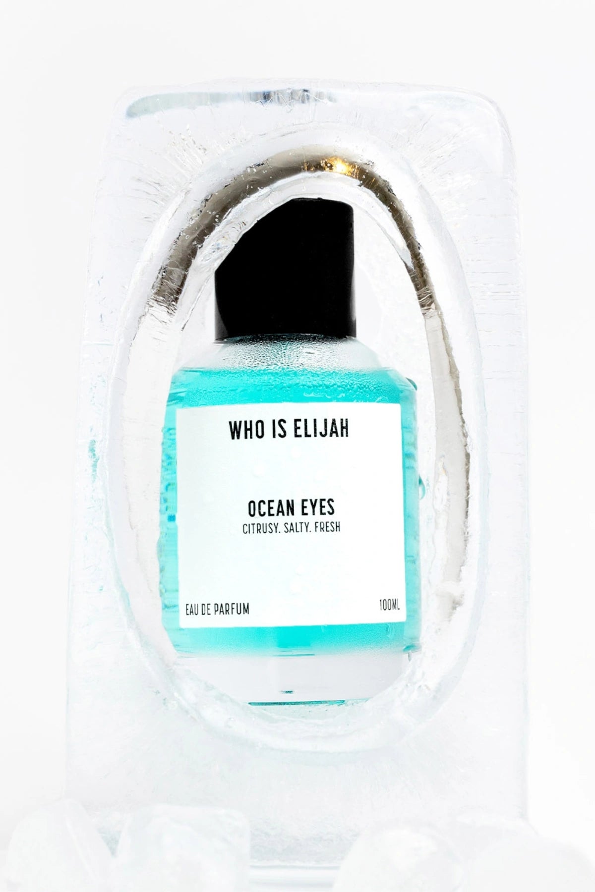 Ocean Eyes by Who Is Elijah, a refreshing unisex fragrance capturing the crisp, citrusy, salty sensation of plunging into the ocean, perfect for summer energy and invigoration.